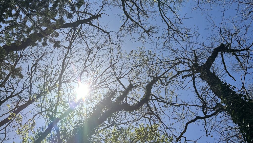 En dan ineens overvalt het je (weer) …